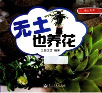 懒人养花 无土也养花
