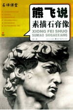 名师课堂 熊飞说素描石膏像