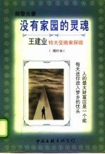 没有家园的灵魂 王建业特大受贿案探微 增补本