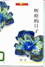 辉煌的日子