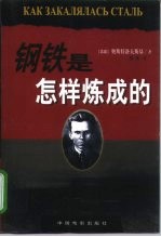 钢铁是怎样炼成的