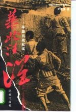 华北汪洋 平原抗战纪实