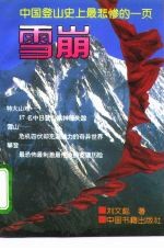 雪崩 中国登山史上最悲惨的一页