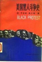 美国黑人斗争史 1619年至今的历史、文献与分析
