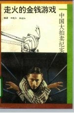 走火的金钱游戏 中国大拍卖纪实