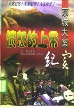 愤怒的上帝 京城大案纪实