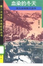 血染的冬天 斯大林格勒大会战