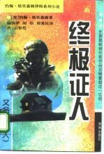 终极证人 又名:当事人