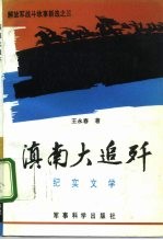滇南大追歼 纪实文学