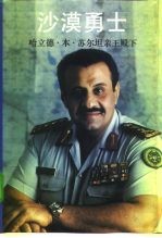 沙漠勇士 联合部队司令对海湾战争的己见