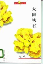 太阳峡谷