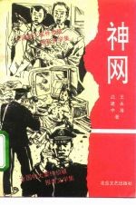 神网 全国特大案件侦破报告文学集