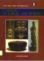 中国历代国宝精品100件赏析 图集