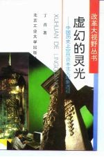 虚幻的灵光 中国历史上空想资本主义现象透视