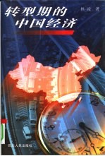 转型期的中国经济