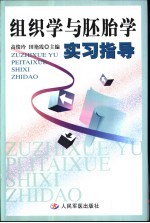 组织学与胚胎学实习指导