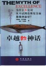 卓越的神话·卓越的神话:为什么大公司从不试图在所有方面都做到最好?