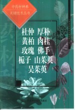 中药材种养关键技术丛书 杜仲 厚朴 黄柏 肉桂 玫瑰 佛手 栀子 山茱萸 吴茱萸