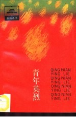 青年英烈 第二次国内革命战争时期青年烈士传