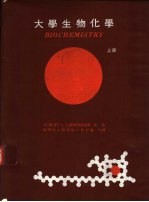 大学生物化学 上