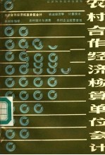 农村合作经济核算单位会计