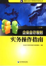 企业会计准则实务操作指南 上