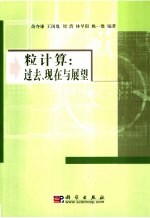 粒计算:过去、现在与展望