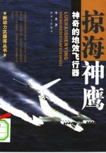 掠海神鹰:神奇的地效飞行器