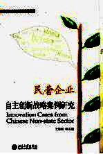 民营企业自主创新战略案例研究