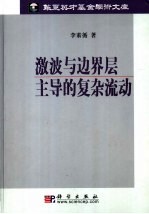 激波与边界层主导的复杂流动