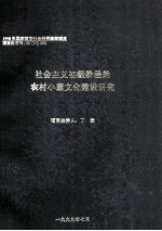 社会主义初级阶段的农村小康文化建设研究