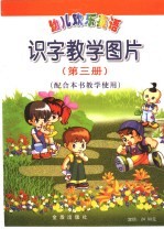 幼儿欢乐英语 识字教学图片 第3册