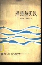 理想与实践