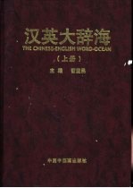 汉英大辞海 上下