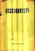 青年怎样才能做到又红又专
