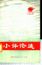 小评论选