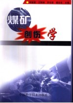 煤矿创伤学