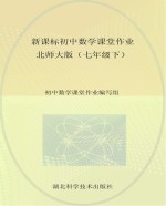 新课标初中数学课堂作业 七年级 下 北师大版
