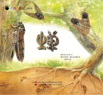 奇趣大自然系列 6 蝉