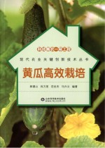 科技惠农一号工程 黄瓜高效栽培
