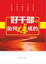 好干部是如何炼成的
