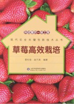 科技惠农一号工程 草莓高效栽培