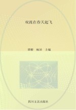 双流在春天起飞