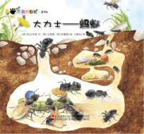 奇趣大自然系列 4 大力士 蚂蚁