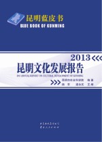 昆明文化发展报告