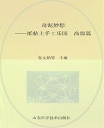 奇泥妙想 纸粘土手工乐园 高级篇