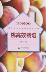 科技惠农一号工程 桃高效栽培