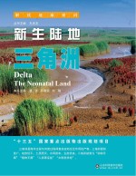 新生陆地 三角