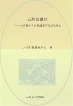 云岭党旗红 云南省深入开展创先争优活动巡礼