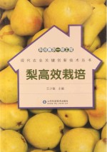 科技惠农一号工程 梨高效栽培